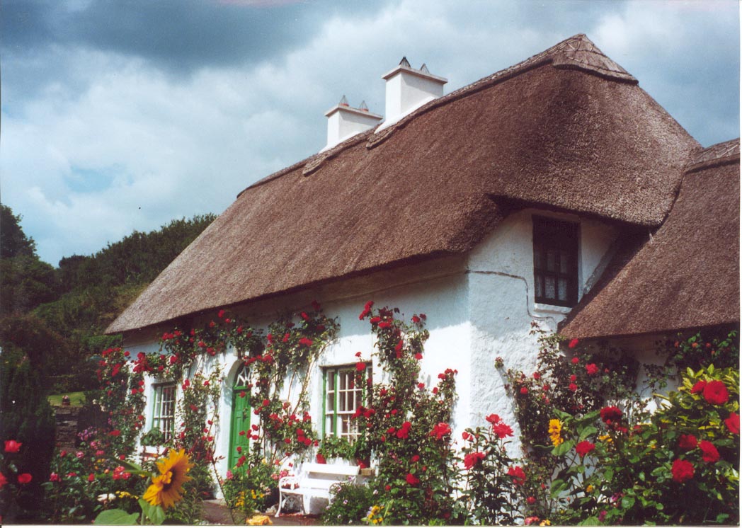 cove cottage viewed from cove strand