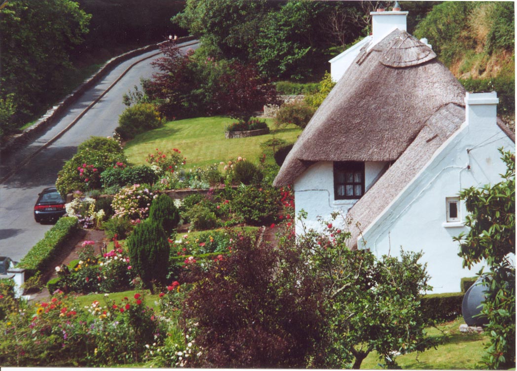 view of cove cottage from elatevated viewing point